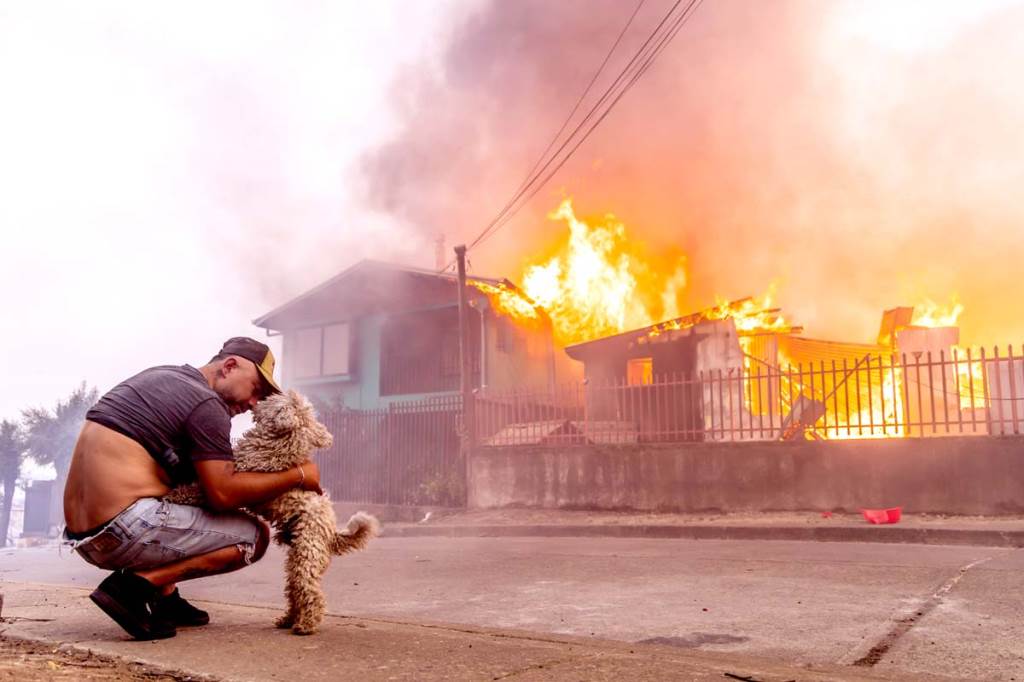 Chilean forest fires kill 15 destroy towns